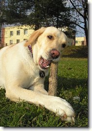 žvejkání klacíků to je moje...