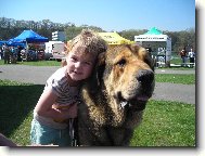 CHS z Polabských blat