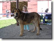 CHS z Polabských blat