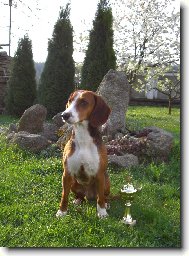 MVP České Budějovice