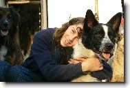 Karelský medvědí pes