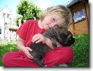 Španělský mastin z Polabských blat