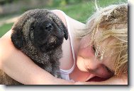 CHS z Polabských blat