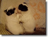 ve dvou se to lépe táhne..