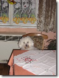 čekání na večeři