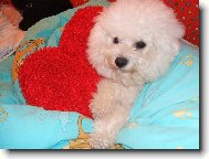 Ferďásek,naše srdíčko.