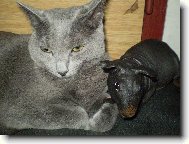 Leontýnka a Espritek :-)