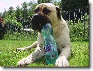 kde to žije tam je MATTONI ...