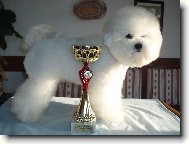 Abigail Sněhový obláček