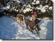 A pěkně za sebou....