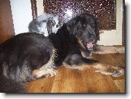 .... spolu je nám dobře .....