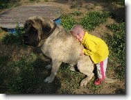 mám tě táááákhle rád