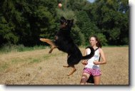 Sagar z Dašického zátiší