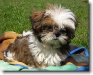 Malá uličnice Adélka