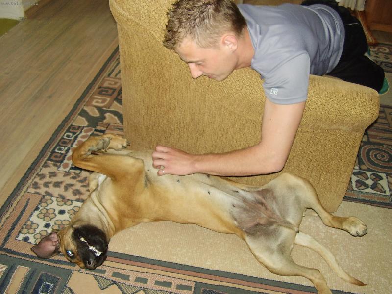 Foto: Leháro po obědě