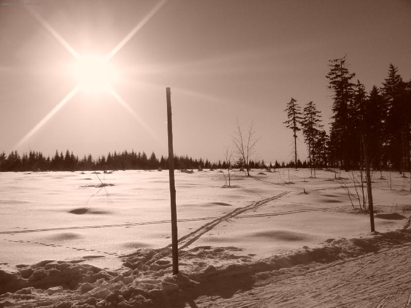 Foto: Krkonoše-Zimní procházka