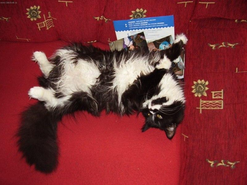 Foto: Válení, to je moje :-)