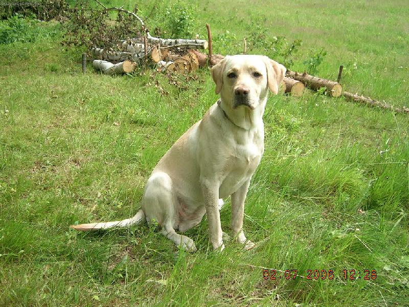 Foto: Aimi-Pózování pro paničku