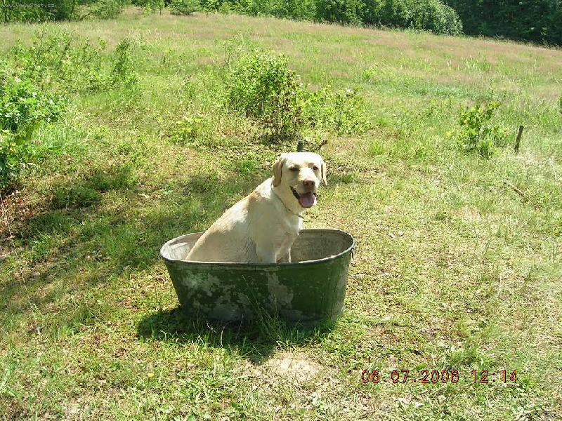 Foto: Aimi-Ochlazení ve vaničce