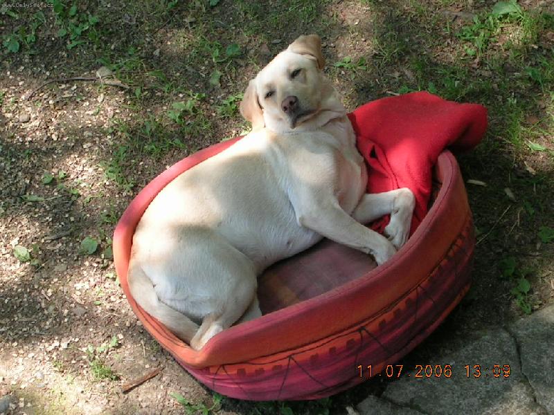 Foto: Aimi-Konečně se jede domů.