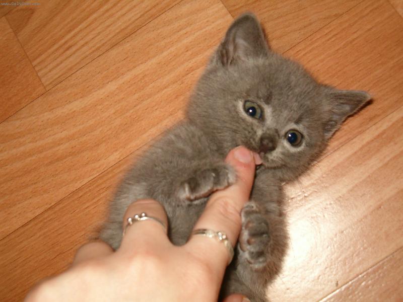 Foto: Sisinka-naše zlatíčko