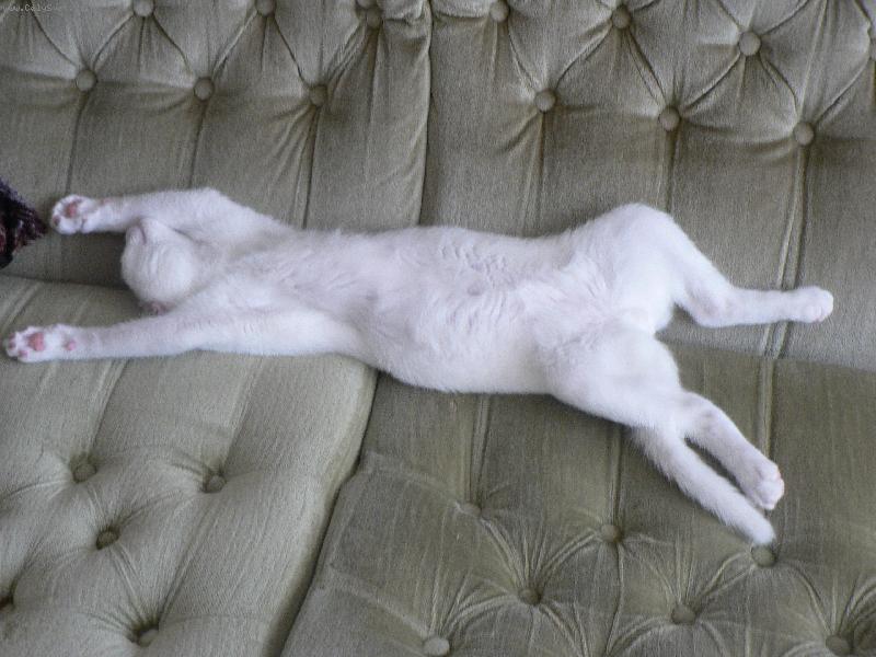 Foto: Mikeš-To je poleženíčko!!!