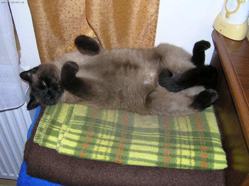 Foto: Matýsek-Moje nejoblibenejsi poloha