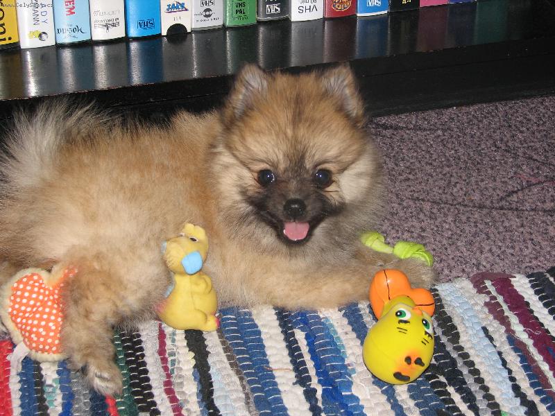 Foto: Cindy-Tak co...tvářim se dost roztomile?