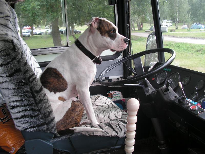 Foto: Sunny řídí-tak nastupovat, odjíždíme!