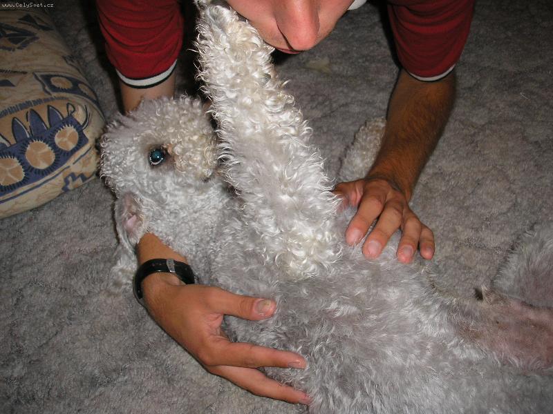 Foto: taky tě pohladím