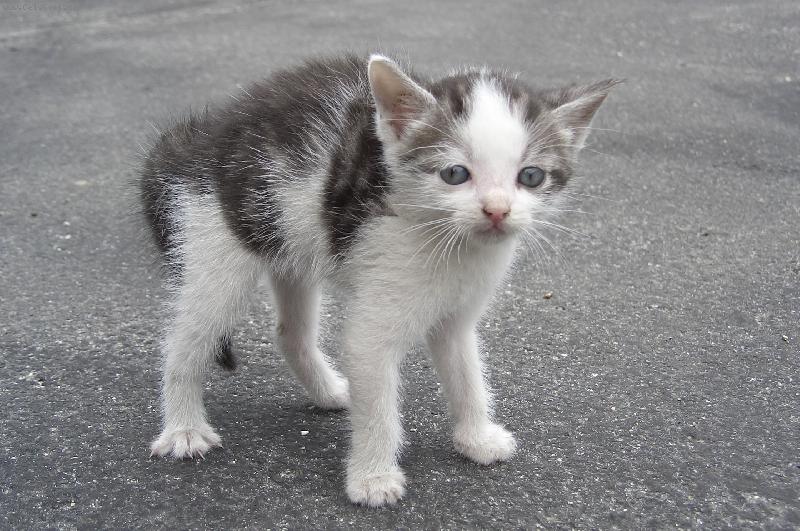 Foto: To jsem ale velký!!!