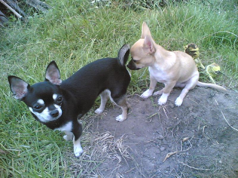 Foto: Kámošky-Tak tam toho moc nenajdu!