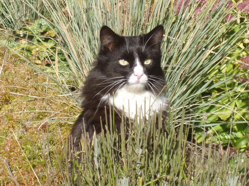 Foto: Matýsek-Mám na to.