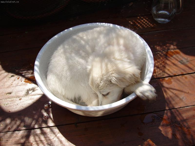 Foto: už jsem to zamázla-ve stínu palem....