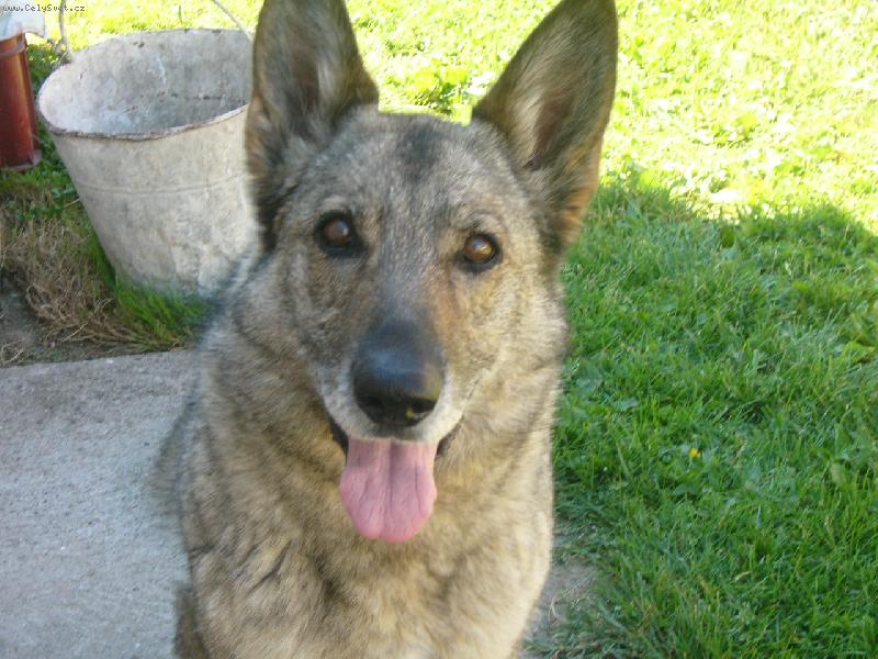 Foto: Náše princezna