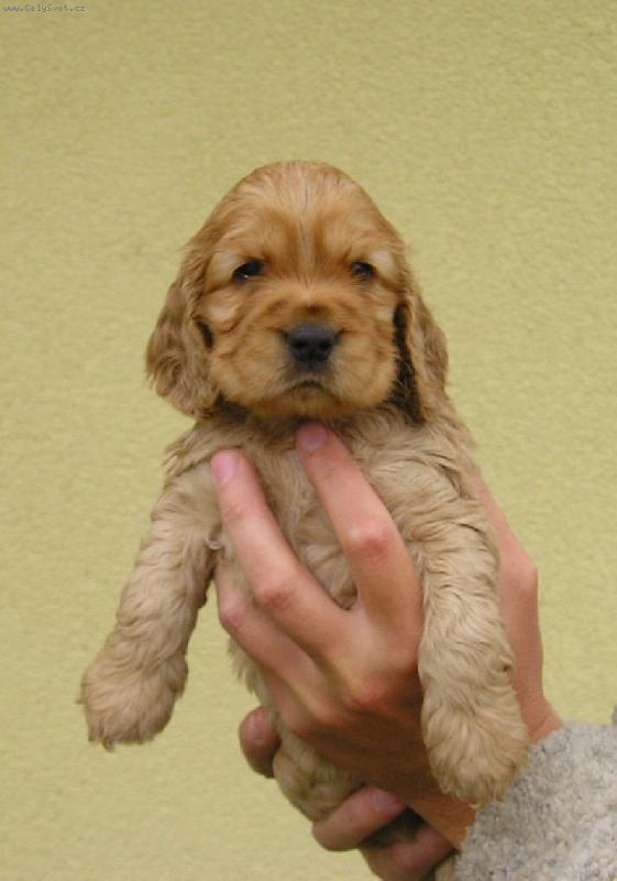 Foto: Fathi-Proč mě pořád fotíte???