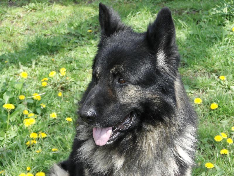 Foto: Dneska odpočívám