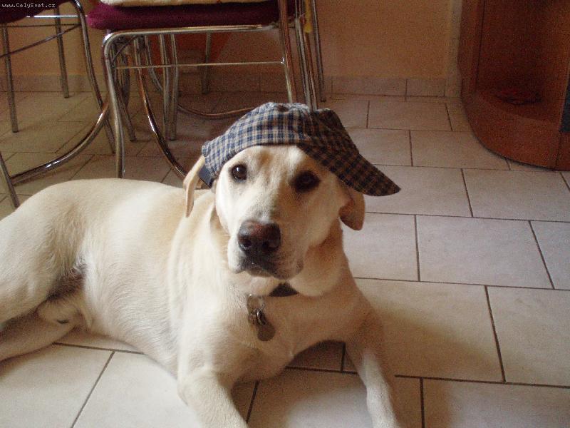 Foto: Samíček-Prostě miláček