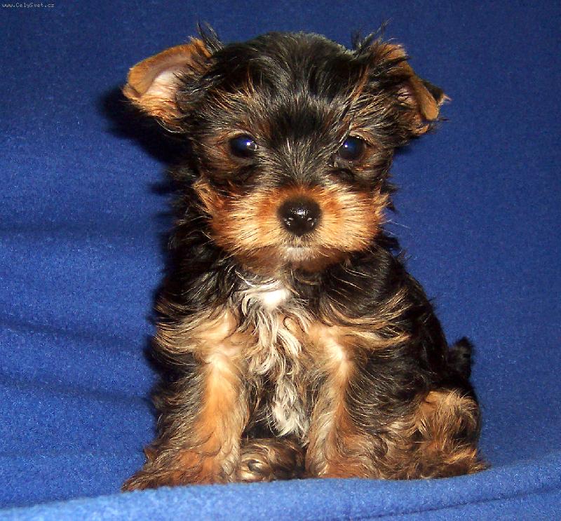 Foto: Jsem jen pár týdnů na světě