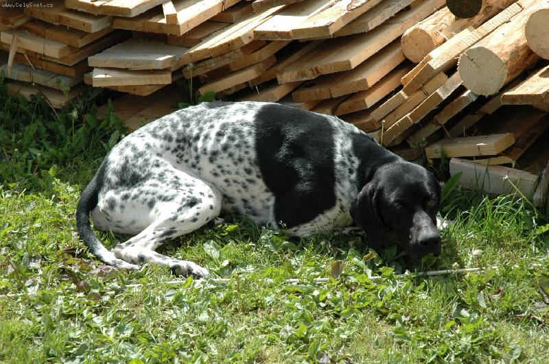 Foto: Ještě chvilinku si odpočinu