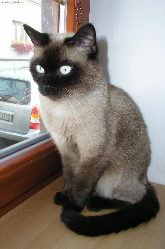 Foto: Matýsek-kdopak to k nám asi jde?