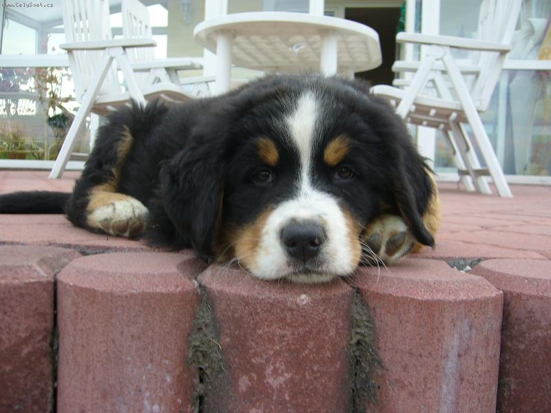 Foto: Naše Belinka-To je pohoda.