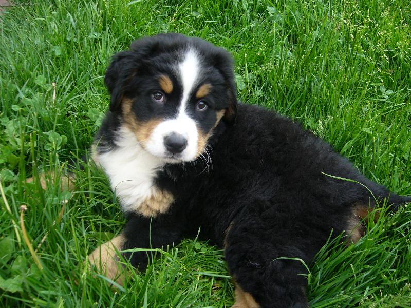 Foto: Naše Belinka-To je pohoda.