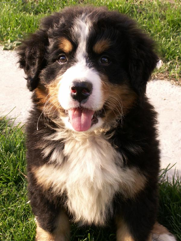 Foto: Náš Xcalibur-keď som bol ešte maličký