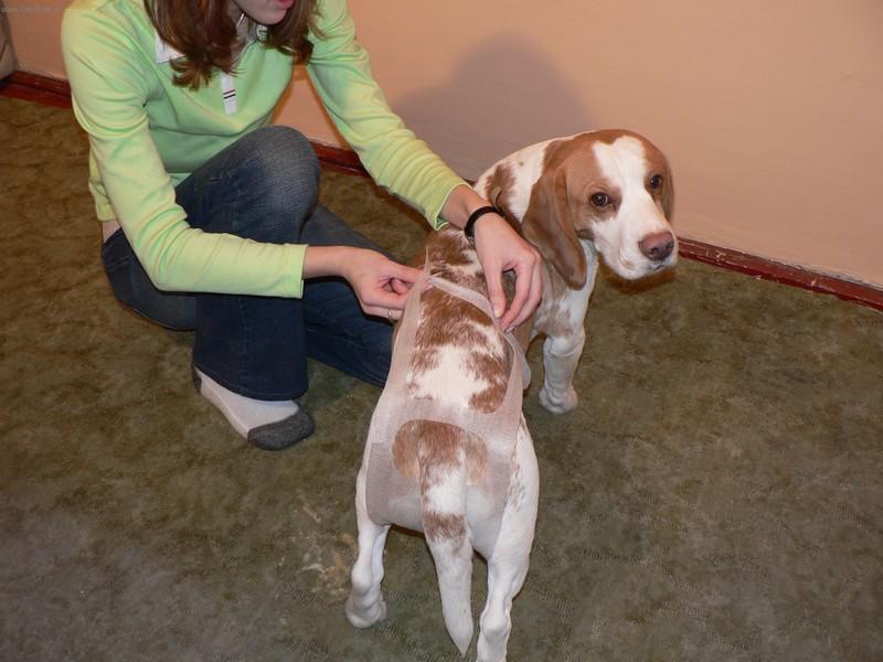 Foto: Bil jsem jako cedník, teď už to nekape-Řešení inkontinence, aneb i v stáří je možné mít čisto.