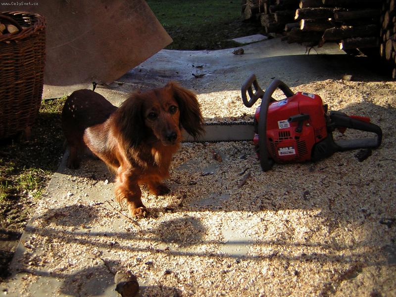 Foto: Naše Arina-Dřevorubec