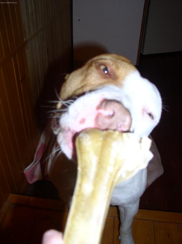 Foto: To je ale mňamka..tak mi to už deeeejj!!!!-podzimní procházka