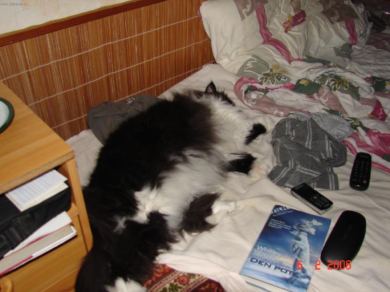 Foto: To je snění...-Není nic lepšího než spát.