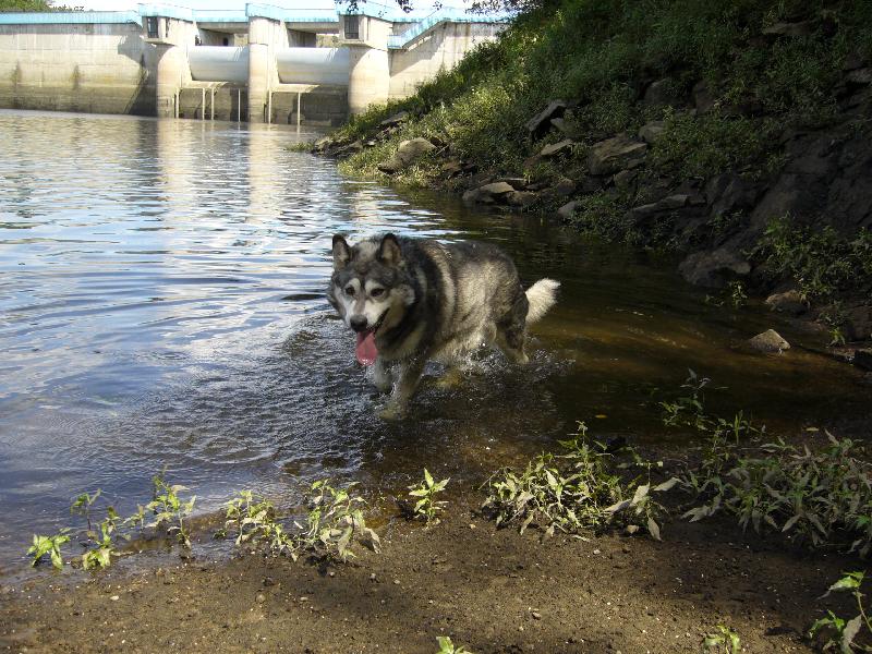 Foto: Rony-na přehradě
