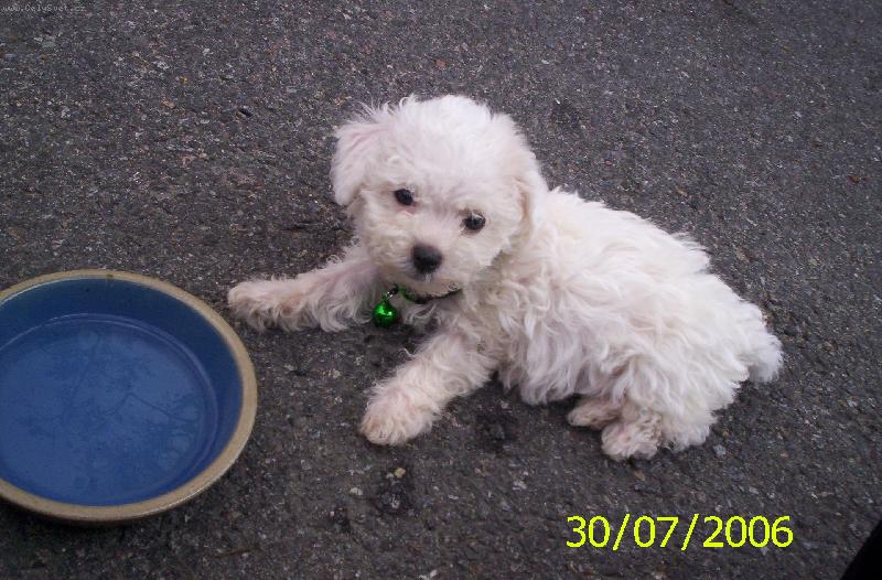 Foto: Gesinka-Líbím se ti :-) ??